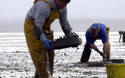 Two cockle pickers on a beach