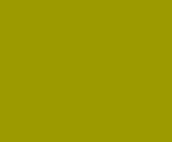 square green fill