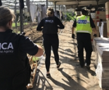 Cambridge Op Sept 2018 police NCA officers
