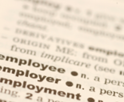 dictionary definition for employee/employer/employment