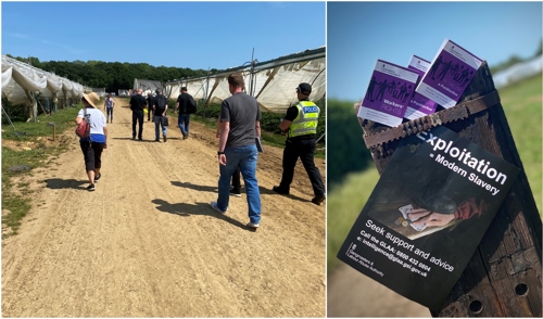 Welfare visits to a farm in Cambridgeshire in June 2020