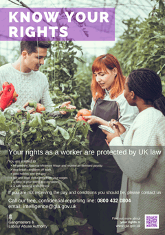 Know your rights poster of three people picking tomatoes