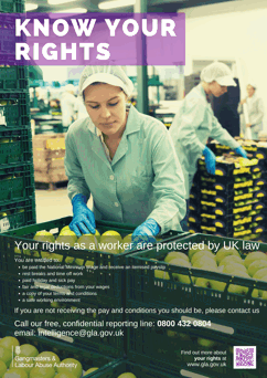 Know your rights poster, female worker packing apples in crates