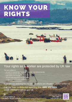Know your rights poster, workers gathering shellfish along shore