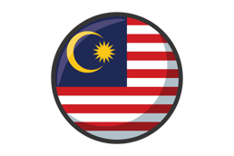 the Malaysian flag