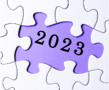 Jigsaw piece revealing text 2023.png